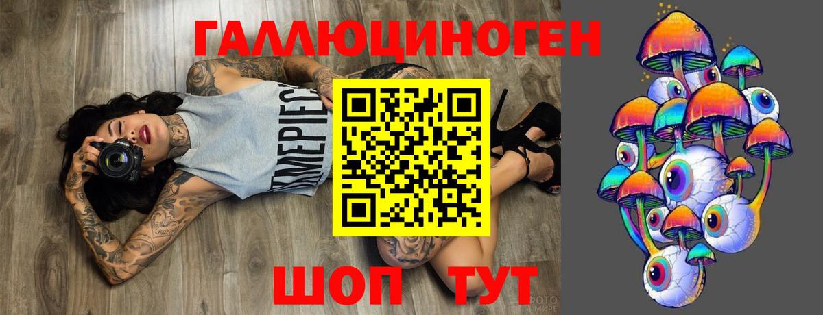 Сокол  Псилоцибиновые грибы Psilocybe  Вход с VPN 