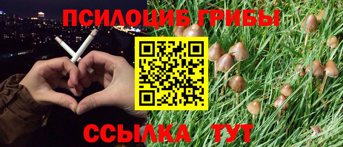 Псилоцибиновые грибы мухоморы Сокол